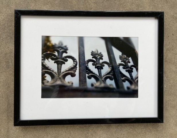 new orleans (fence) - Terry Gaskins Art